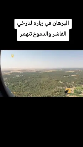 #شعبا واحد جيشا واحد