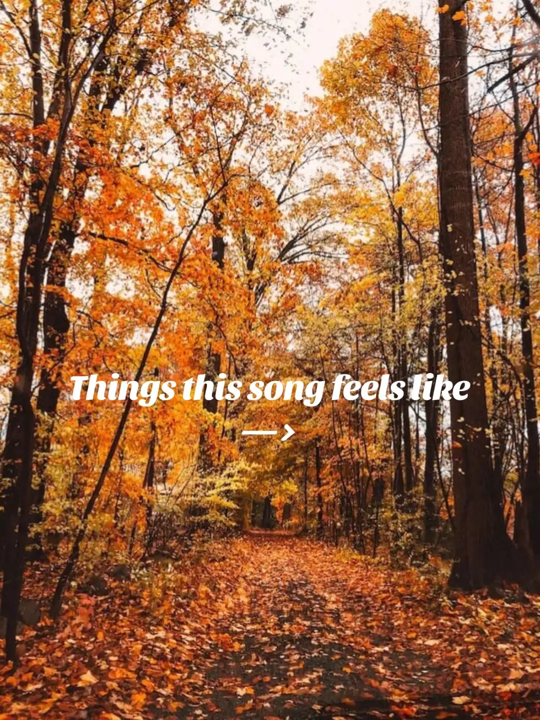 Fall is my absolute favorite. 🍁🍂  #berrycakedup #SmallBusiness #autumn #falldesserts #baltimorebaker 