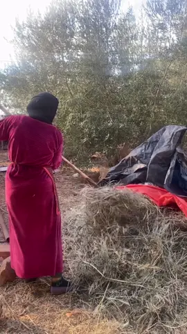 #فرنسا🇨🇵_بلجيكا🇧🇪_المانيا🇩🇪_اسبانيا #هاشتاقات_تيك_توك_العرب #livemorechallenge #إكسبلورر #tik_tok 