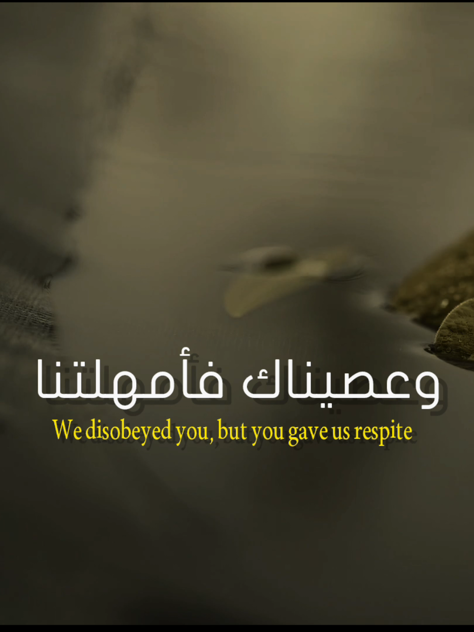 مشروع كفالة 5 ايتام في البايو⛔ | وإن رجعنا إليك قبلتنا🥹💔. #ياسر_الدوسري #ايتام #quran #اطعناك_فشكرتنا_وعصيناك_فامهلتنا 