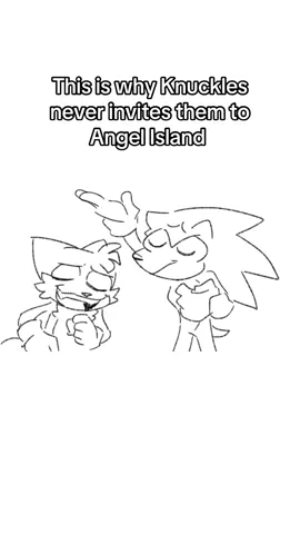 This is why knuckles doesn’t invite them to Angel Island  #sonic #SonicTheHedgehog #animatic #tailsthefox #knucklestheechidna   