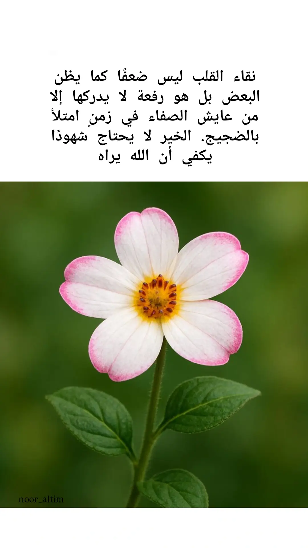 #خواطر #اقتباسات #عبارات #حكم 