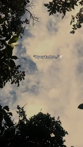 “Oy oy kedere..”🕊️🌹 #meralsimsekk1 #storylikvideolar #storylikşarkılar #fyppp 