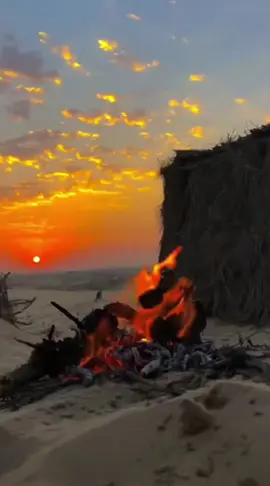 قصايد #شيلات #خواطر #شعر #اكسبلورexplore #فولو 