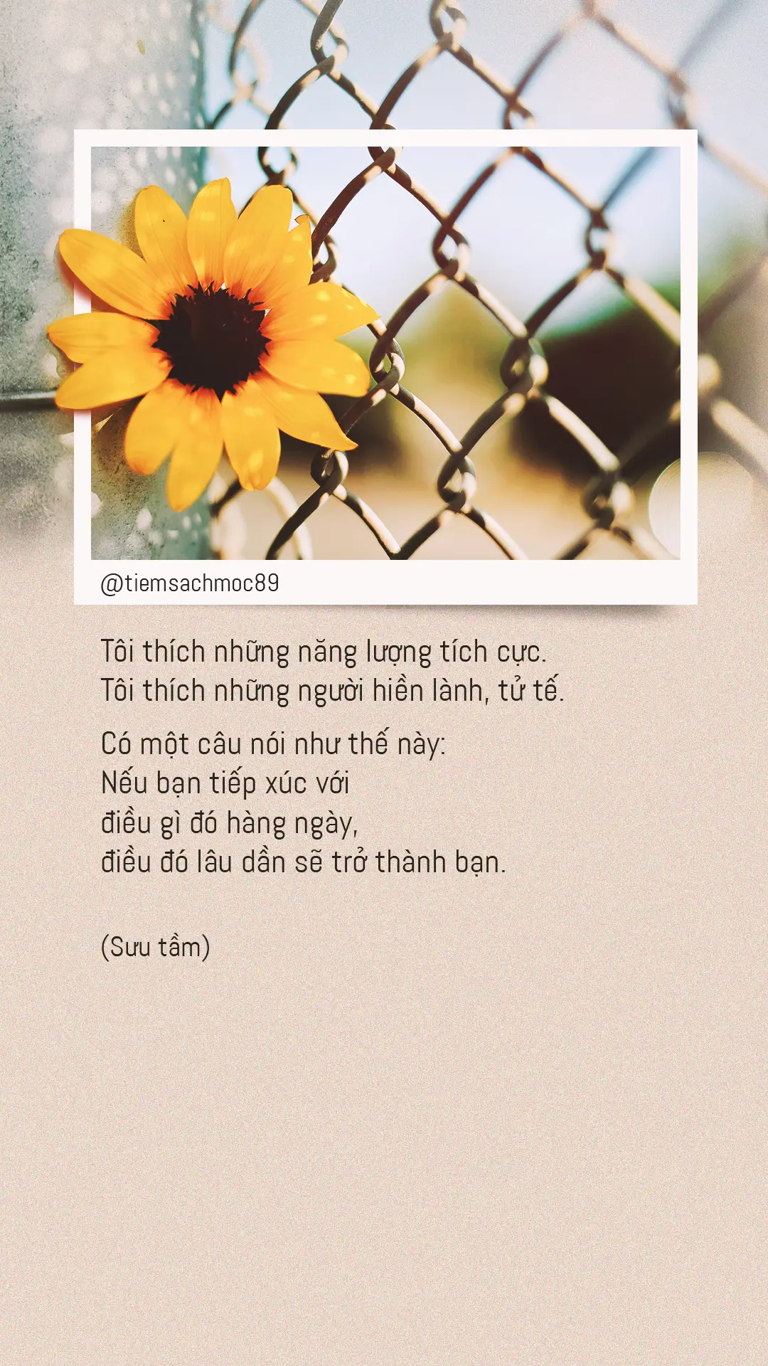 Tôi thích những năng lượng tích cực #tiemsachmoc89 #status #tamtrang #caption #fyp 