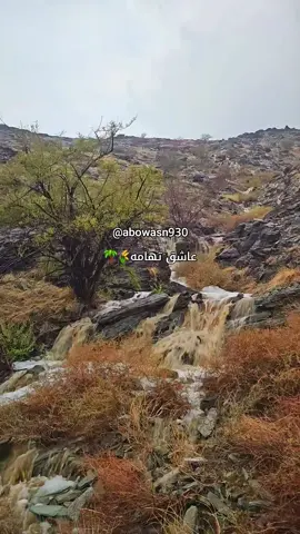 #امطار #امطاراليوم #امطار_الخير #امطار_الجنوب #عاشق_تهامه🌾🌴 