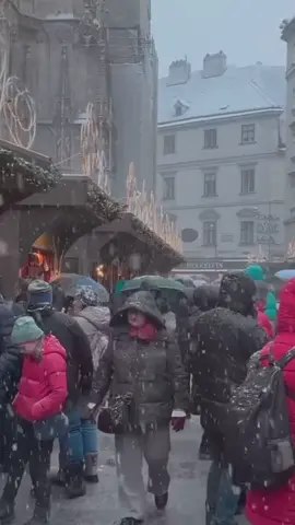 قرّب لهم الخير من حيث لا يحتسبون، واغمر قلوبهم بالطمأنينة والسعادة 🤍لكل من قال آمين