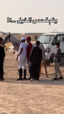 #الخيل_من_خيالها #الخيل_عشق_لاينتهي🐎❤️ #الخيل_من_خيالها_🧿🧿الخيل_أعلم_بفرسانها🧿🐎🐎 #العراق_السعوديه_الاردن_الخليج @مثنى السطام (ابوالحارث) @«بــن سلـطــان جــبــــر🏇» @عمر السطام @سجاد الجليوي 🐎 @رداد الجـنـابـي 🏇 @ناصر المساهر العبيدي @الفارسه زينب ال ماهر 🇮🇶✨ @علي كركوك 