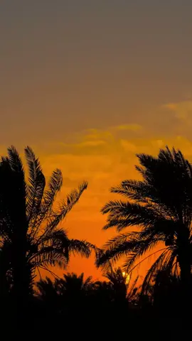 ليلة الانتخابات تشتغل الفلوس #احمد_الوائلي . . . . . #الشيخ_احمد_الوائلي #الوائليون  #احمد_الوائلي #الوائلي