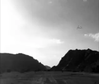 #بدر_بن_عبدالمحسن #صَّقْرُ #explore #viral 