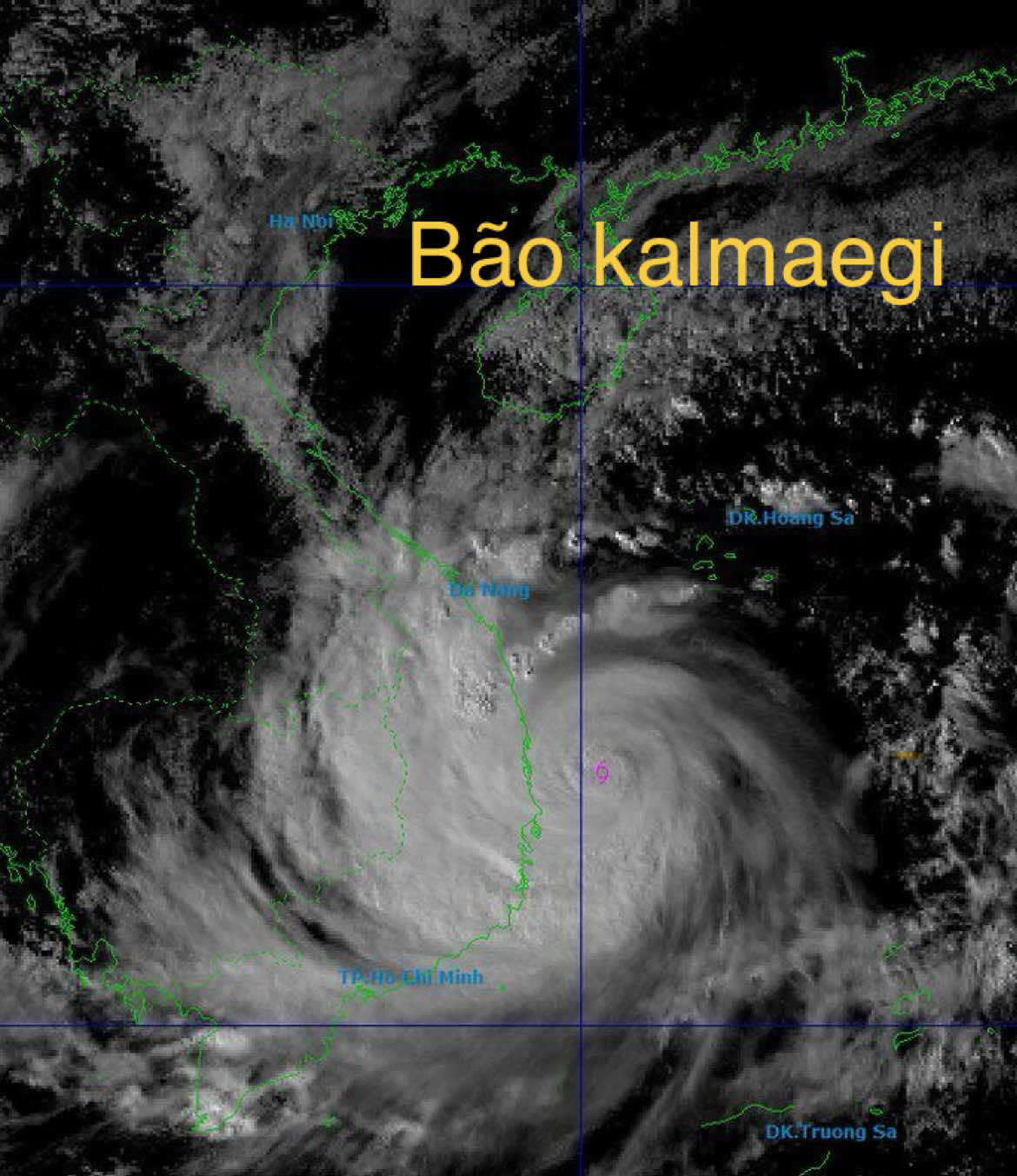 Bão Kalmaegi ( bão số 13 ) đã để lại thiệt hại khủng khiếp! 😢#bão #quynhon 