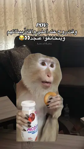 #Meme #MemeCut #CapCut #fypシ゚viral🖤tiktok #lensofRama 