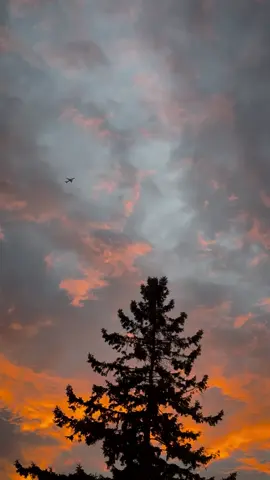 شو حلوة كمان بصوت ملحم زين 🥹🧡