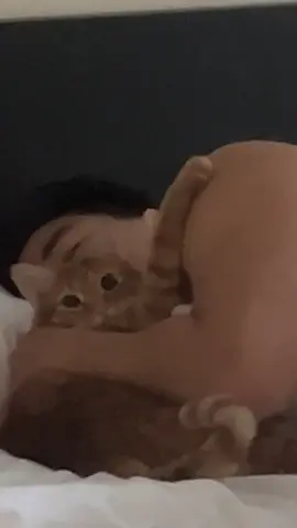 As soon as I get out of bed he takes my spot for cuddles  #orangecat #cat #catsoftiktok #cute #fyp