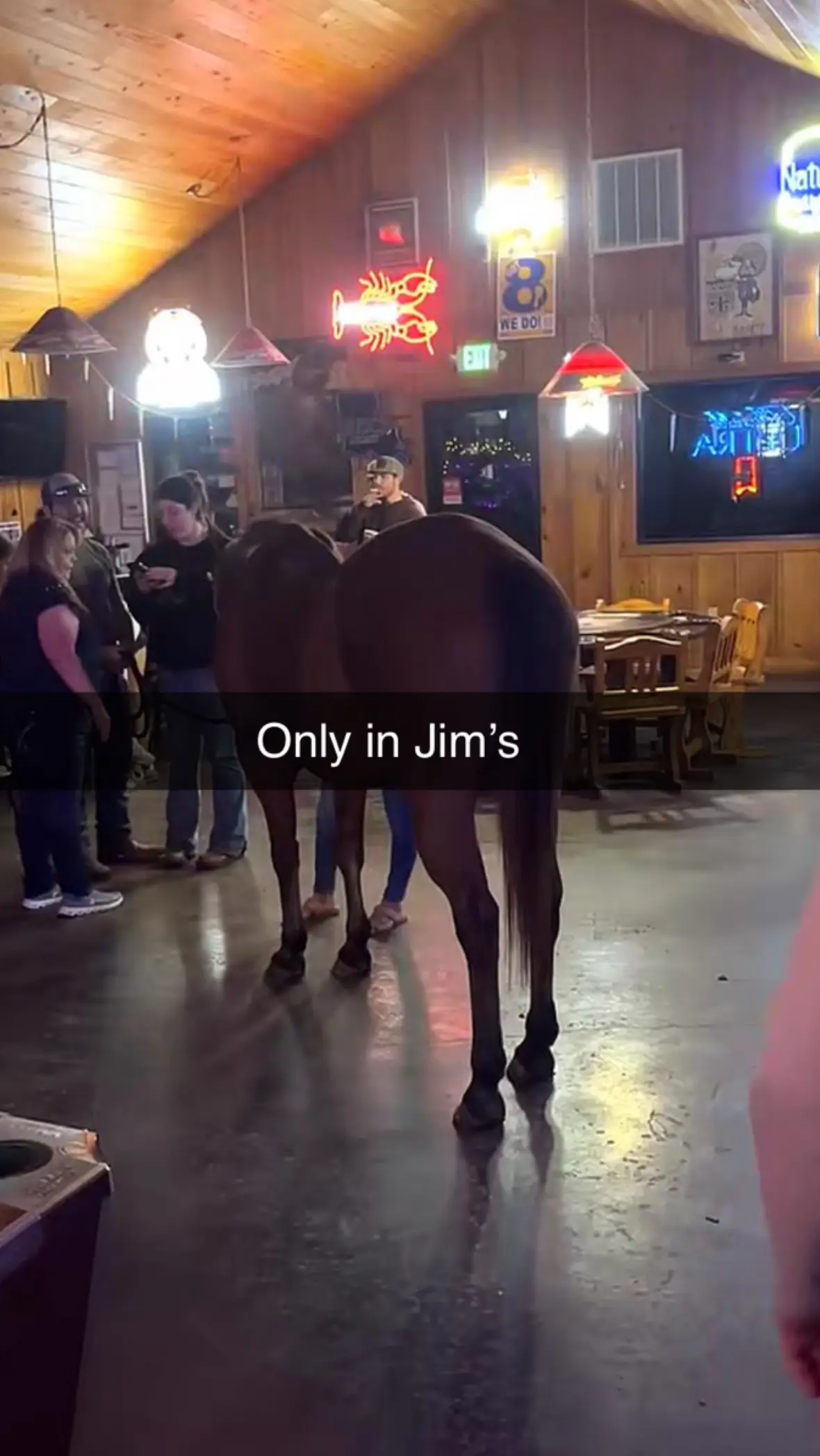 #bar #horse #louisiana 