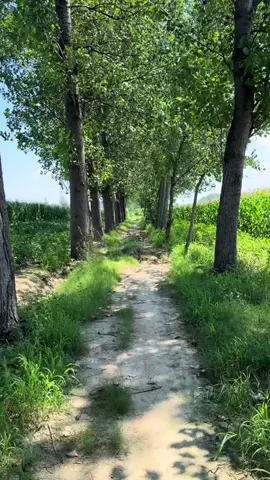 Za ba na yema🥹🌚