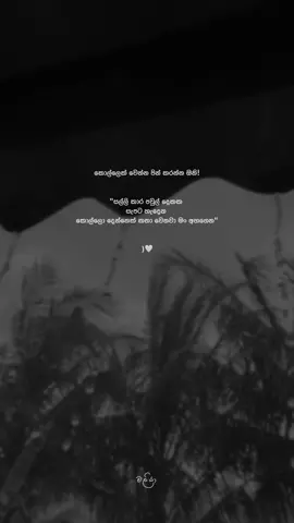 🙂🤍 #quotes #stetus #maliya #kollo #froyou 