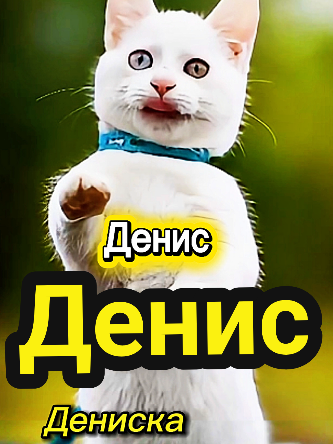 #CapCut #озвучкаогоньваще ##хитрыйкот #котытролли #котсприюта😽 