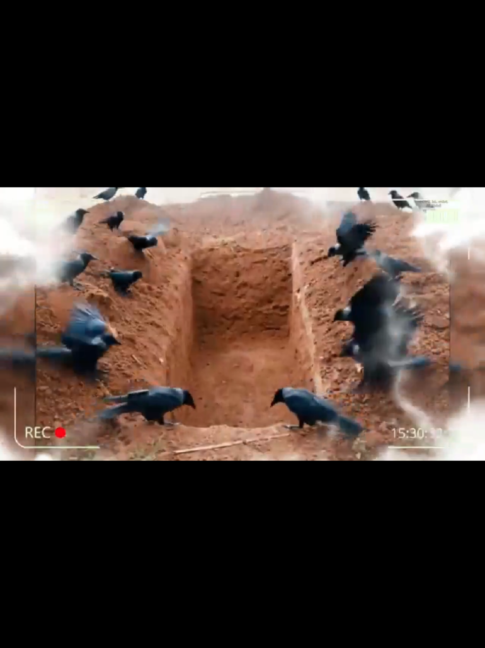 #ethiopian_tik_tok🇪🇹🇪🇹🇪🇹🇪🇹  #new_video_viral  #ሙሉውን_youtube_ገብታቹ_ይመልከቱ 