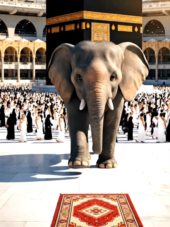 Ya Allah #fyp #makkah 