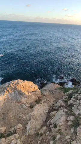 #fyppppppppppppppppppppppp #foryou #fypage #algerie🇩🇿 #الجزائر🇩🇿 