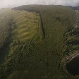 Cat on a fence #cat #catmeme #animalsoftiktok #middlefingermood #higgsfield 