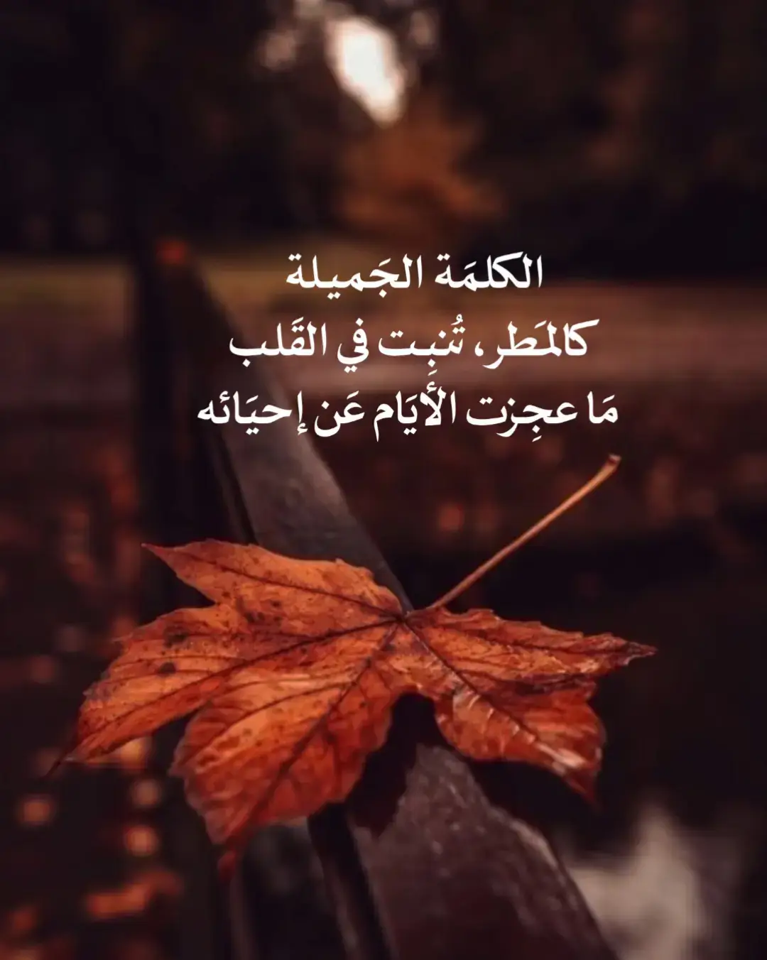 #fypシ゚ #fyp #foryoupage #fouryourpage #video 