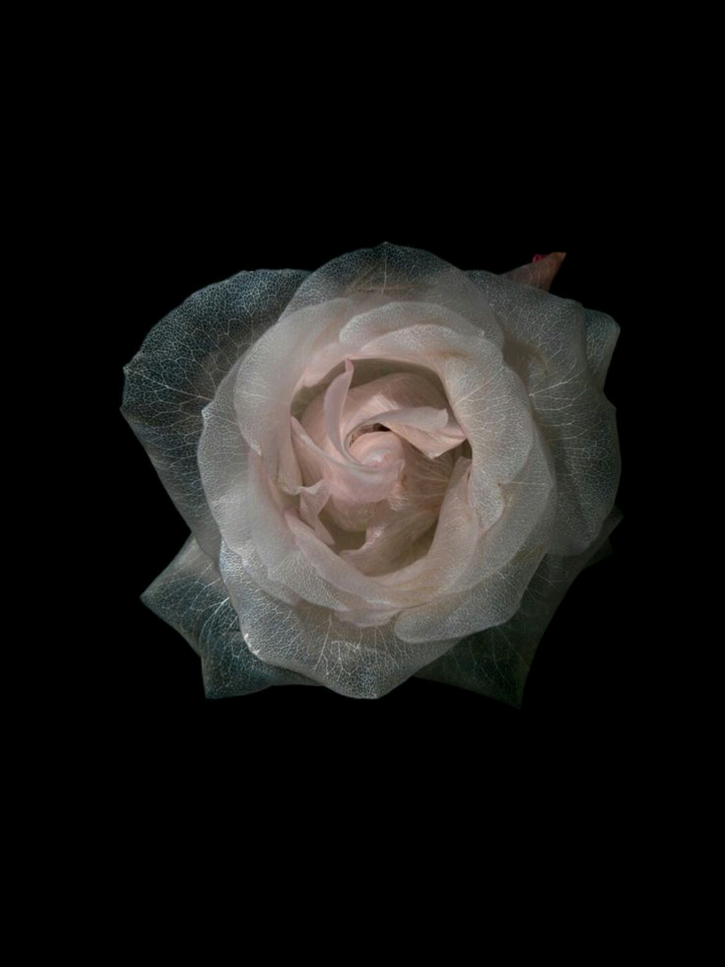 timeless:) 🛐😭 یه شاهکار فالو کن سی سی✨❤️‍🩹 .  .  .  #lyrics #lyricvideo #music #fyp #foryou #persianmusic #songlyrics #sadvibes #tiktokmusic 