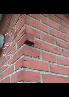 #wabisabi #offcenter #fyp #goviral #makemefamous 