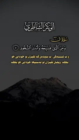 🤍💐 #shinw4r #quran_alkarim #قران #حديث_صحيح #ئـــارامــیــا_دلا 