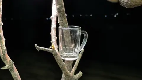 📮🤍 اكسبلور_لايك_كومنت_فولو_متابعه #جبراتت📮١6_ #مالي_خلق_احط_هاشتاقات😩❤ 