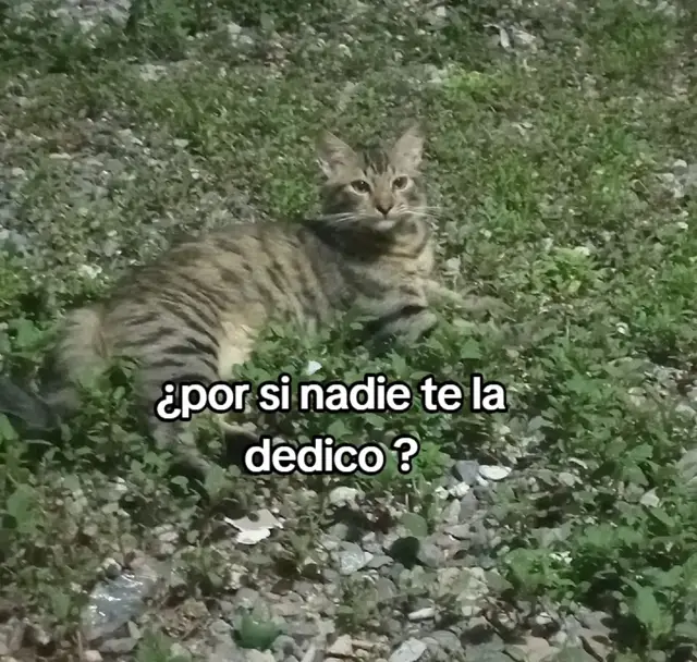 #paratiiiiiiiiiiiiiiiiiiiiiiiiiiiiiiiiii🦋 