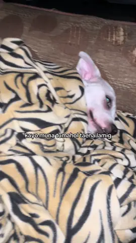 ge ako night shift #fyp #viral 