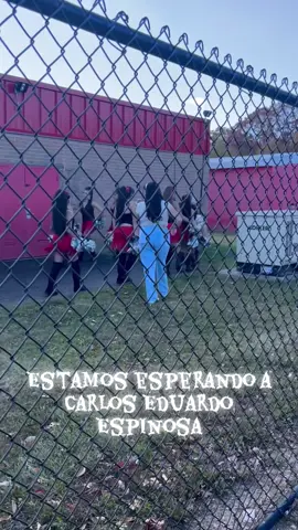 #LIVEIncentiveProgram #LIVECanBeEasy #PaidPartnership 