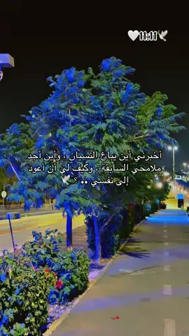 أخبرني أين يباع النسيان ؟ .. 🥹🕊️🕊️🕊️🕊️ #🌹🌹🌹🌹🌹🌹🌹🌹🌹🌹🌹🌹 #الحب #حبيبي #احبكم  #المشكى_على_الله                                         