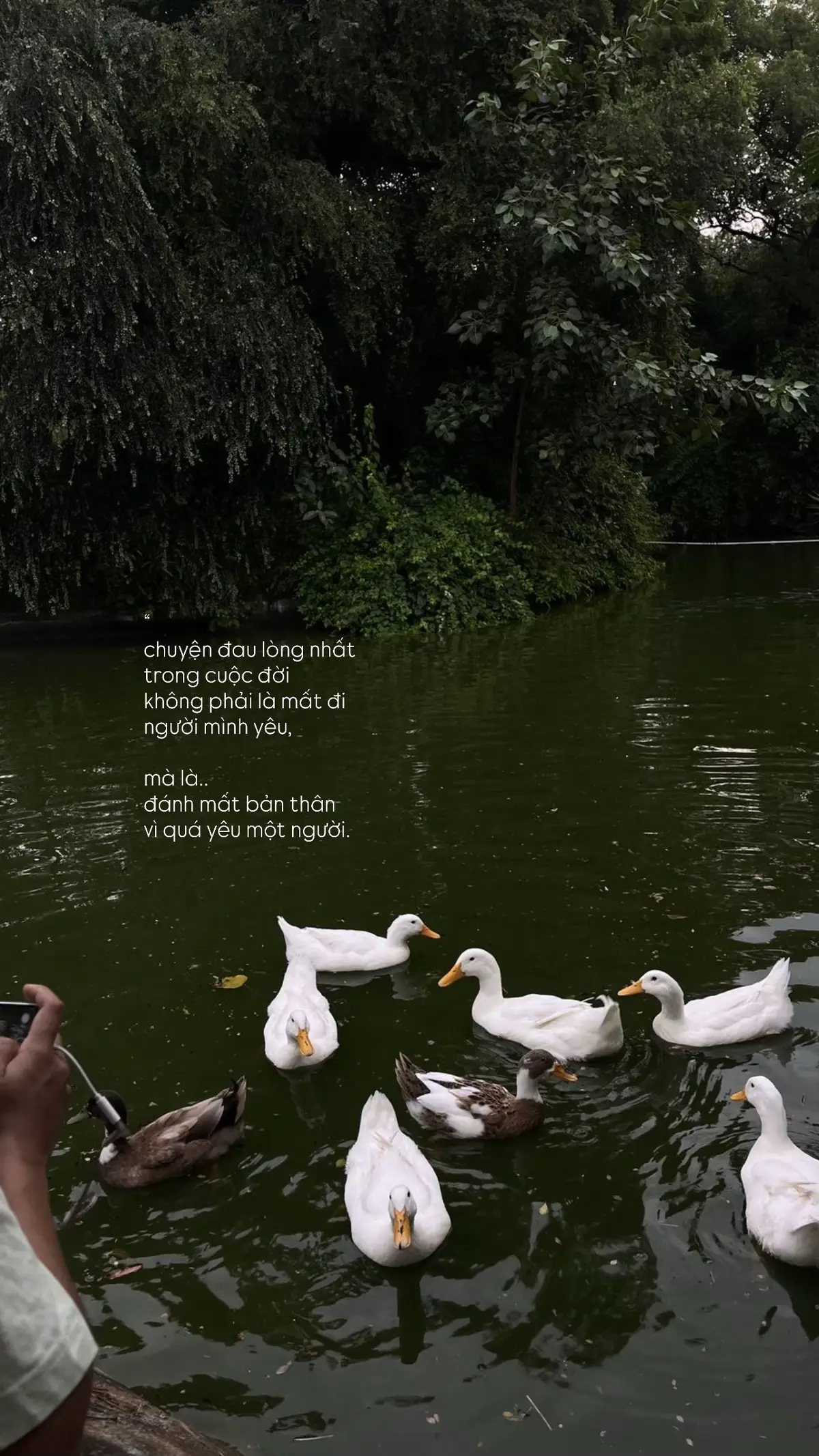 #xuhuong#fyp#tamtrang @P 