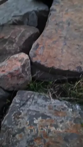 sunset🗿 #pltu #cilacap24jam #sunset #fyp #vibessore 