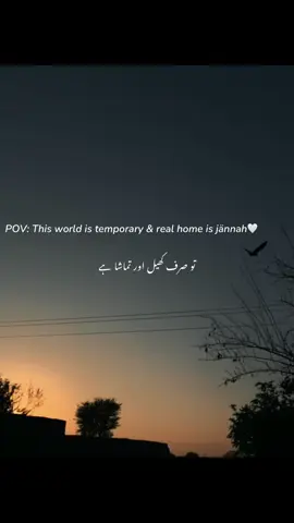 #positivemindset #morningquotes #fyp #quran #jannah 