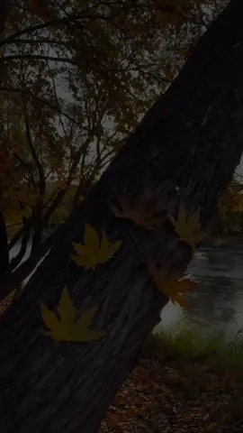 جوینی تیلیگرام بن لینک لە بیوی تیک تۆکە. #foryou #pageforyou #malli_xwanasan1 #ic_s0ra #وتە 