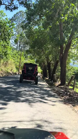 Esto es vida 🍃🌳🥃  #naturaleza #donmiguelo #canan #jarabacoa #bonao 