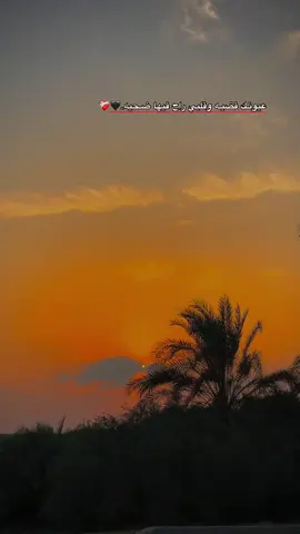 عيونـك قضيـه وقلبي راح فيها ضـحيه..🖤❤️‍🩹 #مالي_خلق_احط_هاشتاقات🧢 