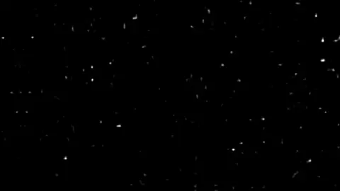 اتحداك اتشاركله لأهلك 🤣. #رياكشن #اكسبلور_explore #اكسبلور #متابعه #لايك 