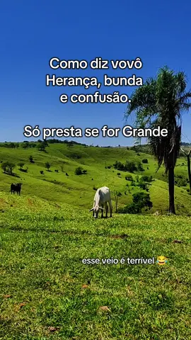 vovô sabe das coisa ué 😅😂 #sertanejo #CapCut #modasertaneja #pecuariabrasil🇧🇷🐂🐂🐂🐂 #zezedicamargoeluciano 