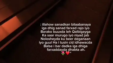 Aamin😭🤲 #viralvideos #foryoupage #muslimtiktok 