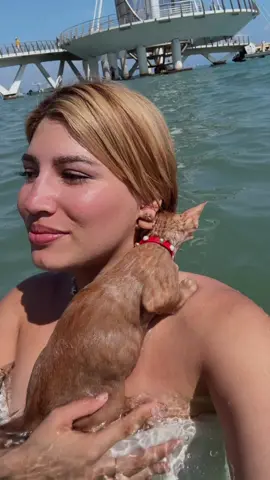 Te amaré siempre mi niña 🐈🧡💔 #fyp #naranjosa