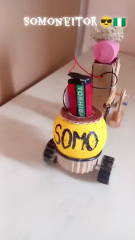 #cat #santacruzdelasierra🇳🇬 #viral #viraltiktok #c 