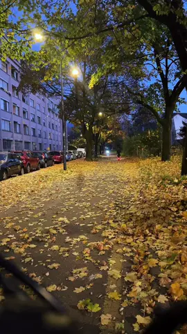 #mabin #algerie🇩🇿_maroc🇲🇦_tunisie🇹🇳 #cupcut #dak #dzrap 