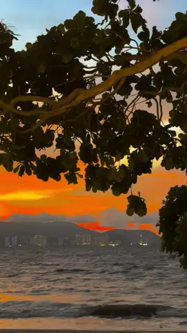 []🧡🌅🌅🌅 #sunset🌅🌅🌅view😍🔥⚡️  #sunset🌅🌅🌅beach🌴🌊💦  #sunset🌅🌅🌅lover🦋🧡🦋  #healing_through_nature🔥🦋🩶 #fypシ゚viral🖤tiktok☆♡🦋myvideo🤗foryou🧡🩶🧡🩶🧡