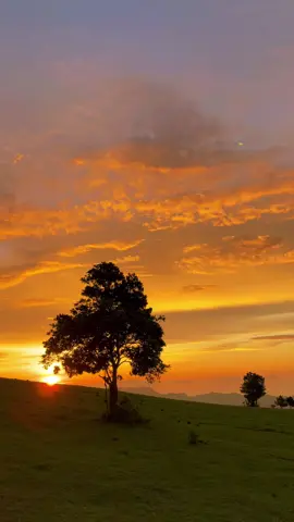 Hatiku jatuh di Sulawesi 