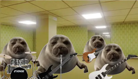 Niko sing Whiskey Tango Foxtrot? Lima Oscar Lima! By Pennines #xyzbca #fyp #sealtok #pennines #niko